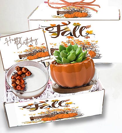 Fall Succulent & Spa Gift Box